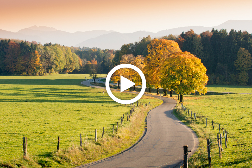 Winding Country Road through autumnal Landscape, vivid colored Maple Trees, Mountains in Background